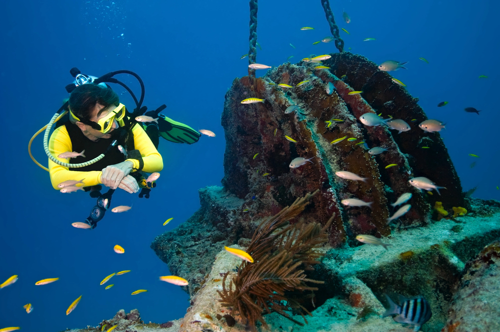 World Records, New Reefs, and a Tradie’s Triumph