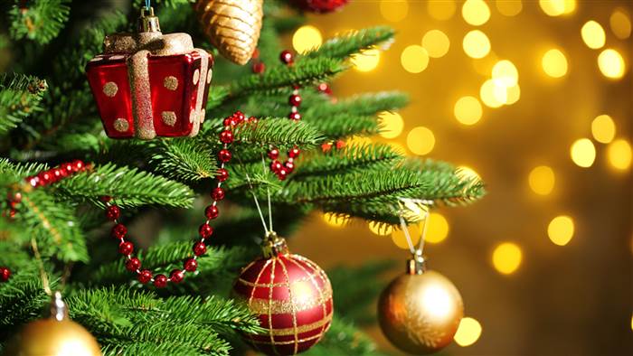 A few tips on how to look after your Christmas tree