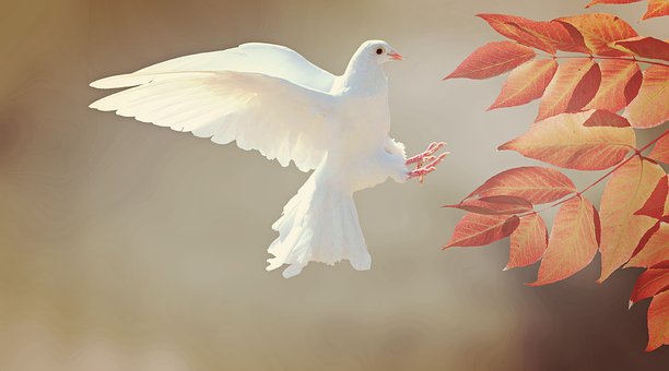 Hatred will never trump tolerance and love