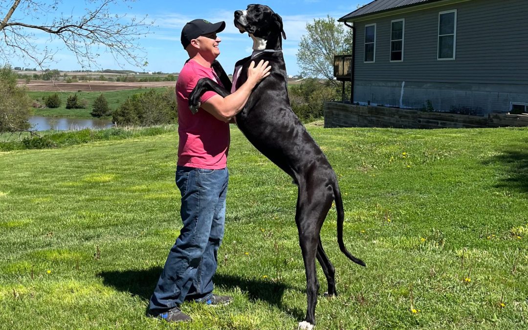 Special Tree, and Truly Amazing Canine
