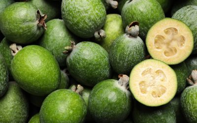 Centurion Eases Up, Kiwis Love Feijoas, Moose Migration