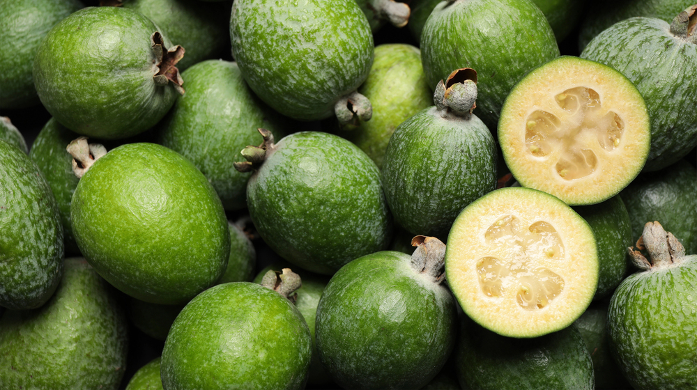 Centurion Eases Up, Kiwis Love Feijoas, Moose Migration