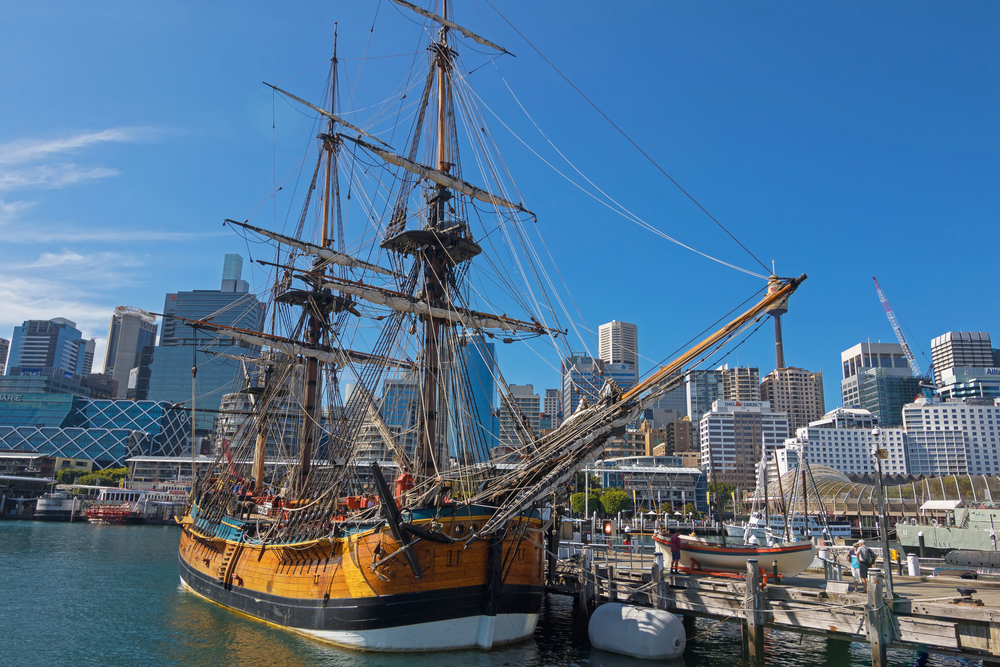 Moth Navigation, Bear Rescued, and Endeavour Found