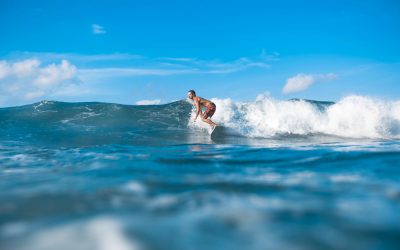 Well Travelled Surfboard and All Black and Fan’s Friendship