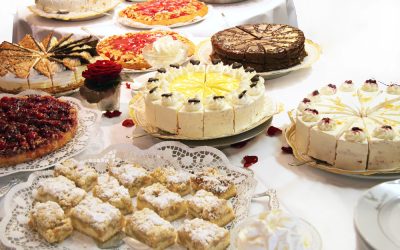 Musketeer’s Grave, Cake Picnics, and Whales Support Birth